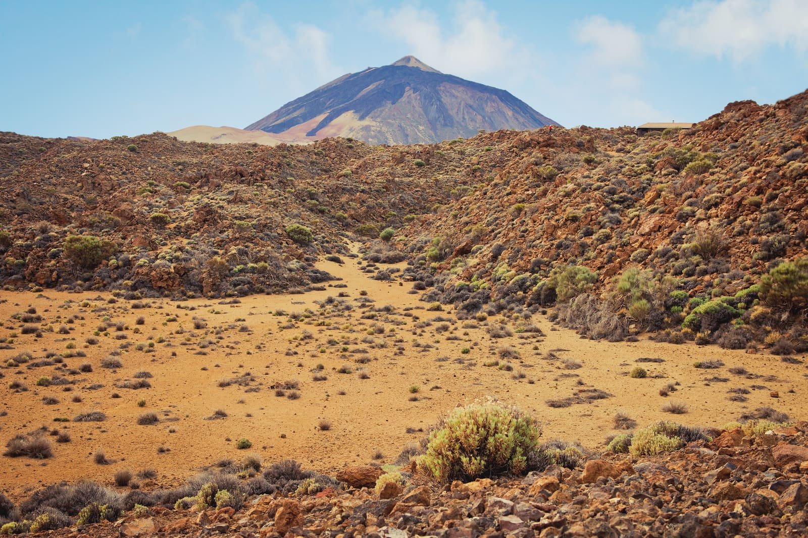 Volcanic landscape in Teide National Park